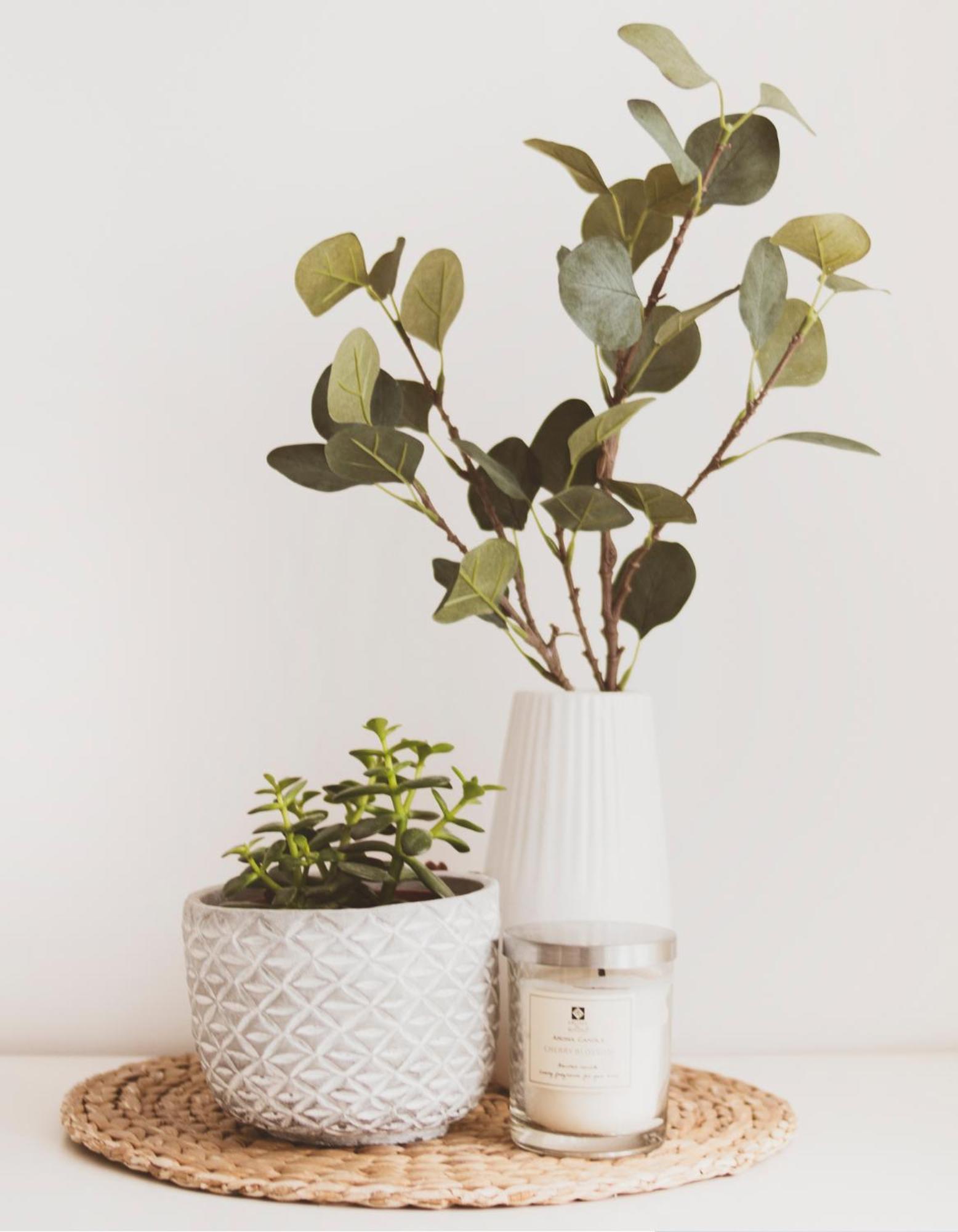 Apartment Charme & Vue Imprenable - Face Au Jardin De L'eveche